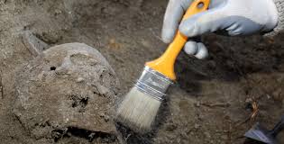Restos humanos envíados Austria, análisis forenses permitan identificación, Universidad Innsbruck